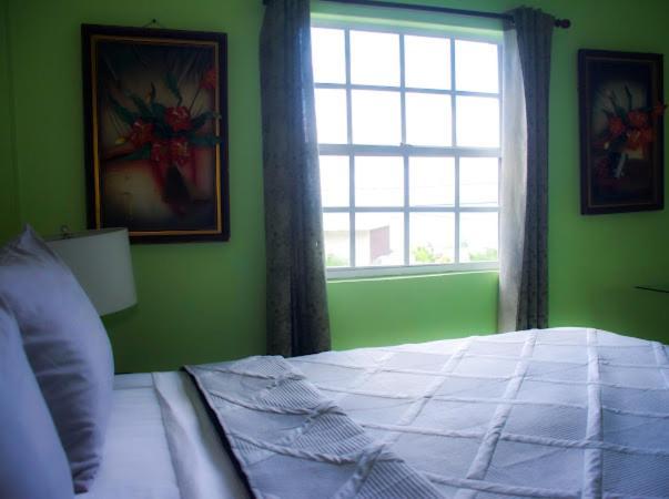Silver View Apartments St. George's المظهر الخارجي الصورة
