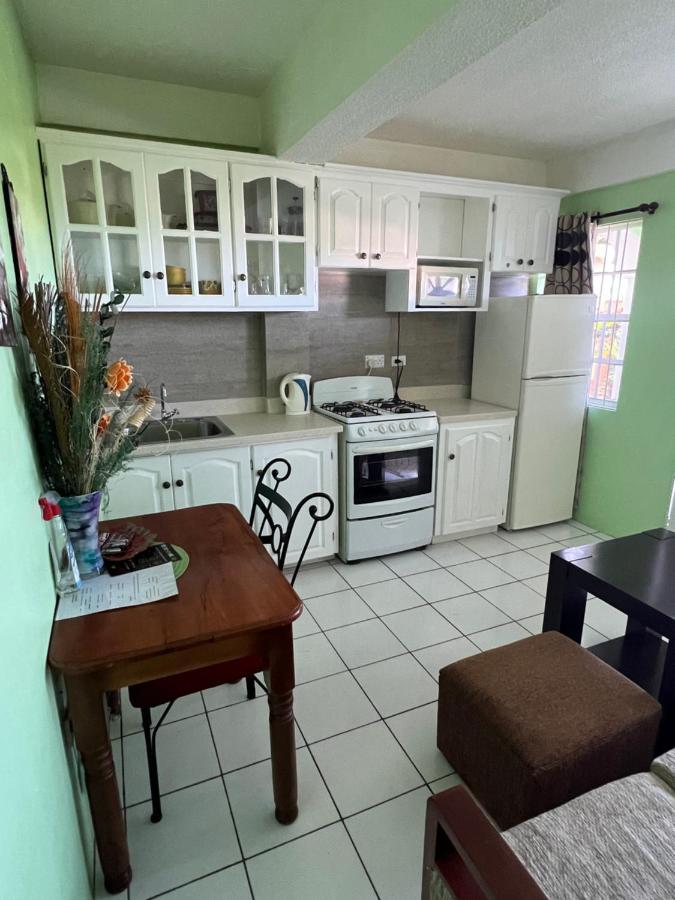Silver View Apartments St. George's المظهر الخارجي الصورة