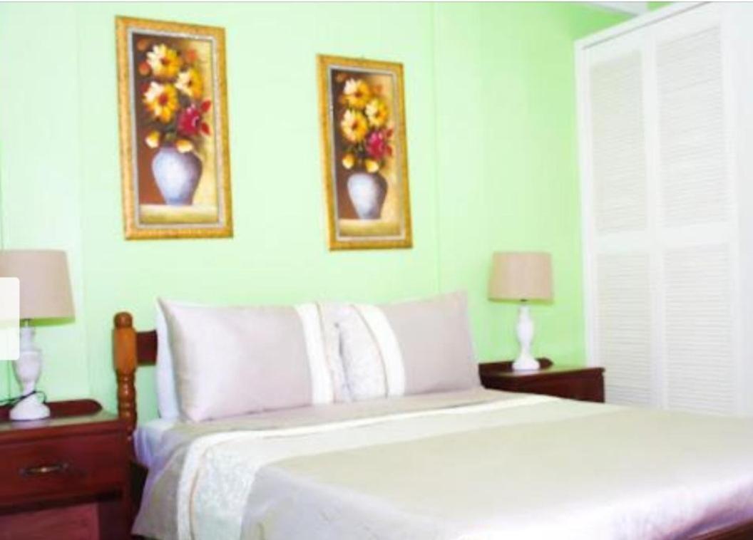 Silver View Apartments St. George's المظهر الخارجي الصورة