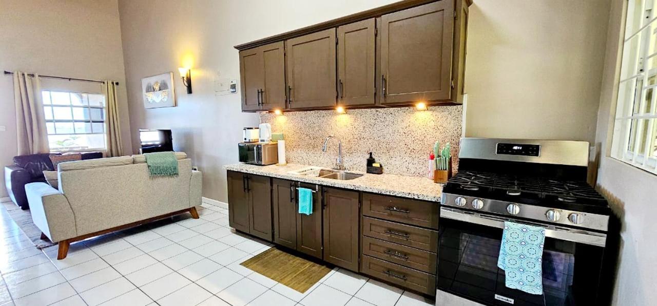Silver View Apartments St. George's المظهر الخارجي الصورة
