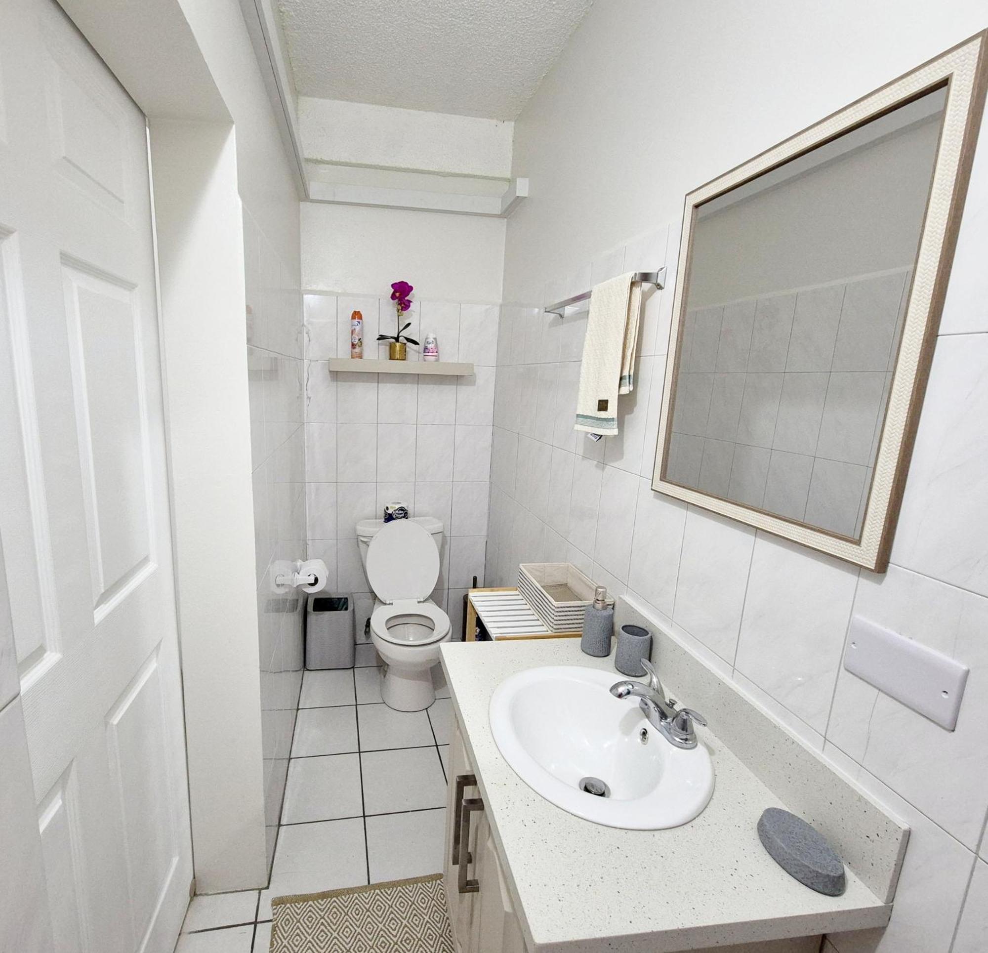 Silver View Apartments St. George's المظهر الخارجي الصورة