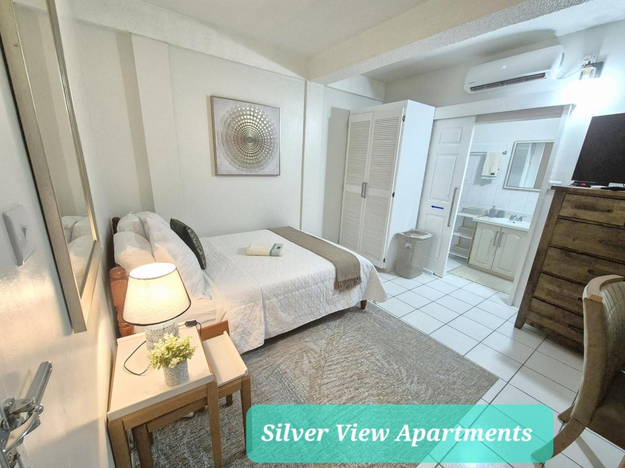 Silver View Apartments St. George's المظهر الخارجي الصورة